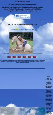 Mobile screenshot of the Cloud9 Walkers website with a sky background.