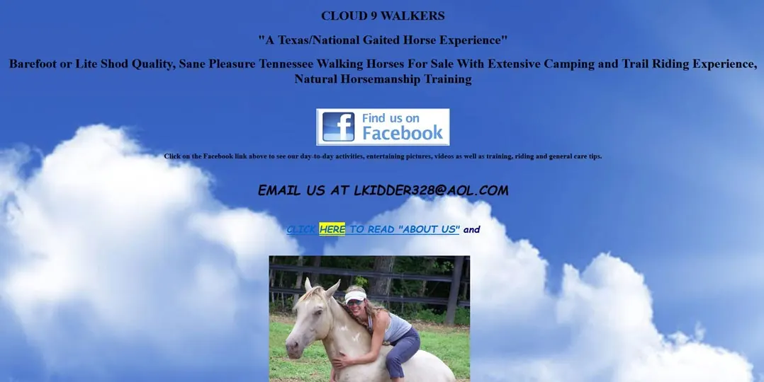 Screenshot of the Cloud9 Walkers website with text over a cloudy sky.