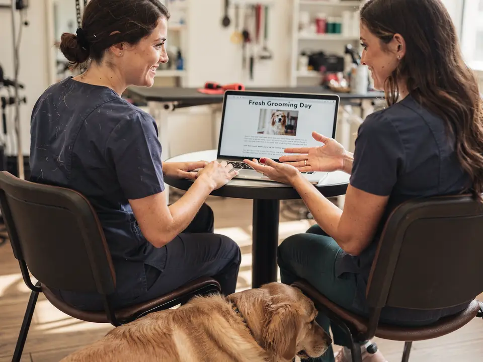 A pet groomer and a writer review a blog post draft beside a dog.