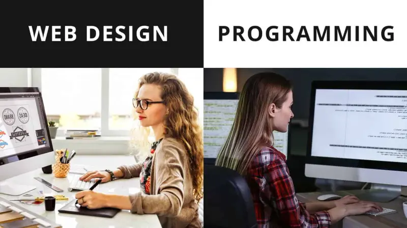 Split photo of a designer and a programmer under Web Design and Programming.